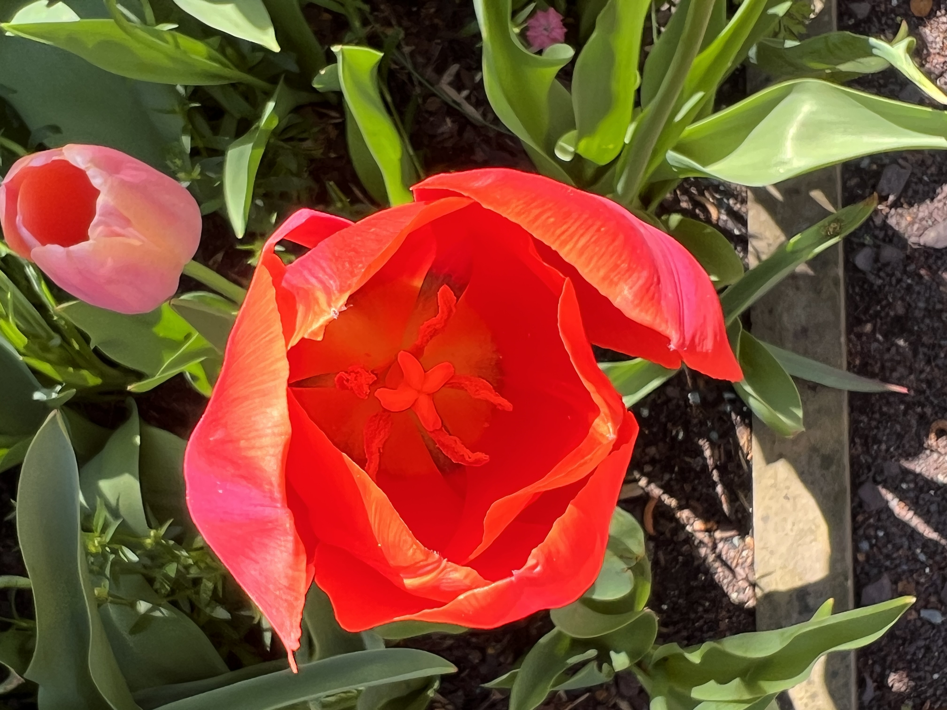 ./2023/05 - Toni Adventures/IMG_3197.JPG